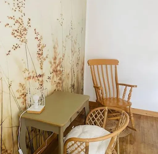 Le Logis De La Lanterne*centre Historique De Apartment Sarlat